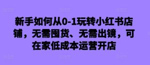 新手如何从0-1玩转小红书店铺,无需囤货、无需出镜,可在家低成本运营开店-乌龙学社