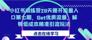 小红书训练营28天撕开流量入口第七期，Get优质流量，解锁低成本精准引流玩法-乌龙学社