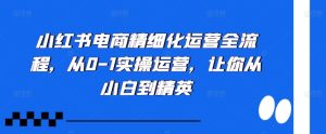 小红书电商精细化运营全流程，从0-1实操运营，让你从小白到精英-乌龙学社