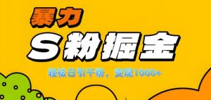 单人单机日引千粉,变现1k+,S粉流量掘金计划攻略【揭秘】-乌龙学社
