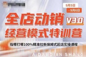 全店动销经营模式特训营，指哪打哪100%精准拉新保姆式起店实操课程-乌龙学社