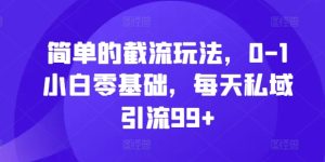 简单的截流玩法，0-1小白零基础，每天私域引流99+【揭秘】-乌龙学社
