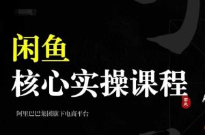 2024闲鱼核心实操课程,从养号、选品、发布、销售,教你做一个出单的闲鱼号-乌龙学社