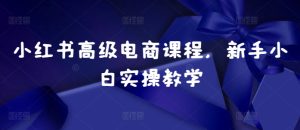 小红书高级电商课程，新手小白实操教学-乌龙学社