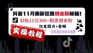 抖音11月最新狂揽创业粉秘籍，轻松日引300+精准创业粉，仅需图片+音频，轻松搞定创业类视频-乌龙学社