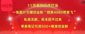 小红书11月最新图片打粉,一张图片引爆创业粉,“预算4980带我飞”,单条引流500+精准创业粉-乌龙学社