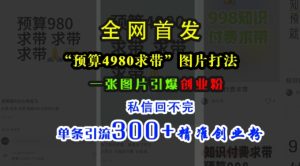小红书“预算4980带我飞”图片打法，一张图片引爆创业粉，私信回不完，单条引流300+精准创业粉-乌龙学社