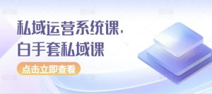 私域运营系统课，白手套私域课-乌龙学社