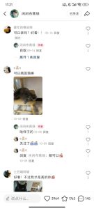 小红书私人定制图项目，附赠一单4W渠道【揭秘】-乌龙学社