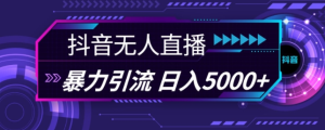 抖音快手视频号全平台通用无人直播引流法，利用图片模板和语音话术，暴力日引流100+创业粉【揭秘】-乌龙学社