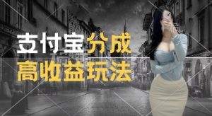 支付宝分成计划新玩法，利用交通事故视频，赚收益，轻松月入过W，操作简单【揭秘】-乌龙学社