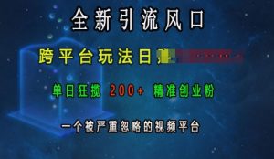 全新引流风口，跨平台玩法日入上k，单日狂揽200+精准创业粉，一个被严重忽略的视频平台-乌龙学社