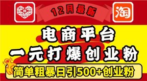 12月最新：电商平台1元打爆创业粉，简单粗暴日引500+精准创业粉，轻松月入过W【揭秘】-乌龙学社