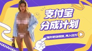 利用海外靶场射击视频，挣支付宝分成收益，轻松月入过W【揭秘】-乌龙学社