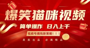 爆笑猫咪视频：简单操作，日入过K，视频号搞钱新策略【揭秘】-乌龙学社