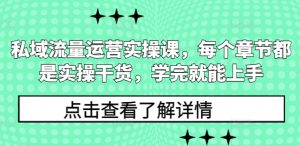 私域流量运营实操课，每个章节都是实操干货，学完就能上手-乌龙学社