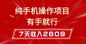 纯手机操作的小项目,有手就能做,7天收入2609+实操教程【揭秘】-乌龙学社