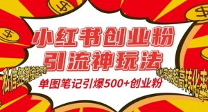 小红书创业粉引流神玩法,单图笔记引爆500+精准创业粉丝,私信狂潮接连不断-乌龙学社