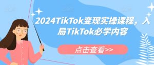 2024TikTok变现实操课程，入局TikTok必学内容-乌龙学社