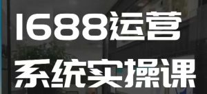 1688高阶运营系统实操课,快速掌握1688店铺运营的核心玩法-乌龙学社