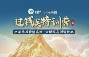 剽悍一只猫-过钱关特训营，学习营销真经 大幅度提高创富效率-乌龙学社