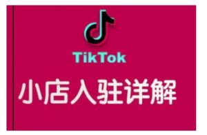 TikTok跨境小店运营全攻略，帮助你独立运营TK跨境小店的能力，实现销量增长-乌龙学社