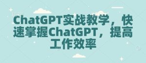 ChatGPT实战教学，快速掌握ChatGPT，提高工作效率-乌龙学社