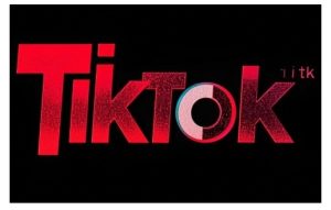 TikTok ads投流秘籍，涵盖tiktok整体投放思路，教你搭建测试计划-乌龙学社