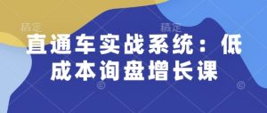 直通车实战系统：低成本询盘增长课，让个人通过技能实现升职加薪，让企业低成本获客，订单源源不断-乌龙学社