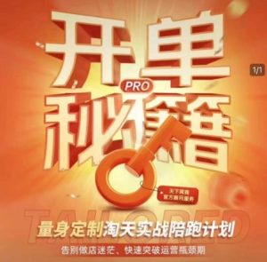 淘宝开单秘籍PRO，量身定制淘天实战陪跑计划，告别做店迷茫、快速突破运营瓶颈期-乌龙学社