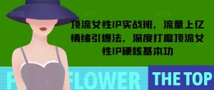 顶流女性IP实战班，流量上亿情绪引爆法，深度打磨顶流女性IP硬核基本功-乌龙学社