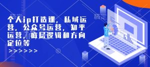 个人ip打造课，私域运营，公众号运营，知乎运营，底层逻辑和方向定位等-乌龙学社