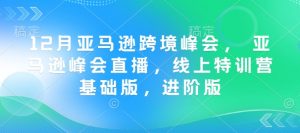 12月亚马逊跨境峰会， 亚马逊峰会直播，线上特训营基础版，进阶版-乌龙学社