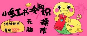 小红书冷知识账号，无脑复制粘贴，5分钟即可变现3张-乌龙学社