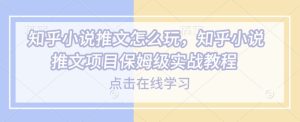 知乎小说推文怎么玩，知乎小说推文项目保姆级实战教程-乌龙学社
