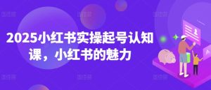 2025小红书实操起号认知课，小红书的魅力-乌龙学社