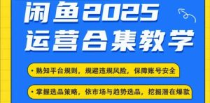 2025闲鱼电商运营全集,2025最新咸鱼玩法-乌龙学社