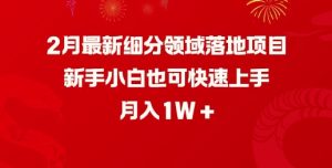 2月最新细分领域落地项目,新手小白也可快速上手,月入1W-乌龙学社