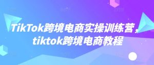 TikTok跨境电商实操训练营,tiktok跨境电商教程-乌龙学社