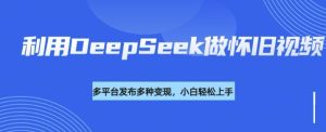 利用DeepSeek做怀旧视频，流量号多渠道变现能力强-乌龙学社