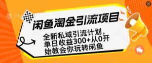 闲鱼淘金私域引流计划，从0开始玩转闲鱼，副业也可以挣到全职的工资-乌龙学社