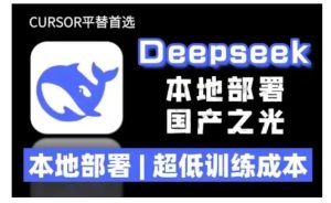 2025年deepseek R1 大型模型本地安装部署(文件+教程)本地部署，超低训练成本-乌龙学社