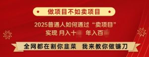 必看，做项目不如卖项目，2025普通人如何通过“卖项目”实现月入十个，年入百个-乌龙学社