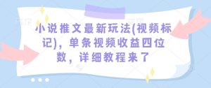 小说推文最新玩法(视频标记)，单条视频收益四位数，详细教程来了-乌龙学社