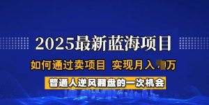 2025蓝海项目,普通人如何通过卖项目,实现月入过W,全过程【揭秘】-乌龙学社