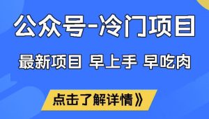 公众号冷门赛道，早上手早吃肉，单月轻松稳定变现1W【揭秘】-乌龙学社