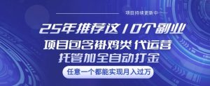 25年推荐这10个副业项目包含褂鸡类、代运营托管类、全自动打金类【揭秘】-乌龙学社
