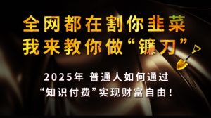 全网都在割你韭菜，我来教你做镰刀,2025普通人如何通过知识付费，实现财F自由【揭秘】-乌龙学社