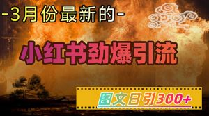 小红书超劲爆引流手段，图文日引300+轻松变现1W-乌龙学社