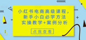 小红书电商高级课程，新手小白必学方法，实操教学+案例分析-乌龙学社
